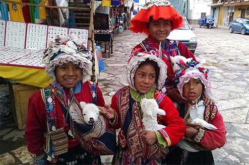 Unreasonably Delayed Immigration Applications and Writs of Mandamus